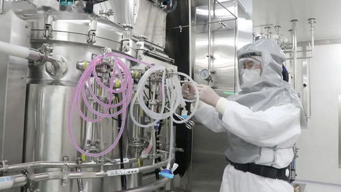 深度揭秘 網(wǎng)絡技術服務如何賦能60天建成全球最大新冠滅活疫苗生產(chǎn)車間