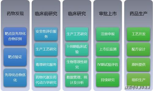醫(yī)藥研究外包服務競爭格局與網(wǎng)絡技術服務的融合趨勢分析
